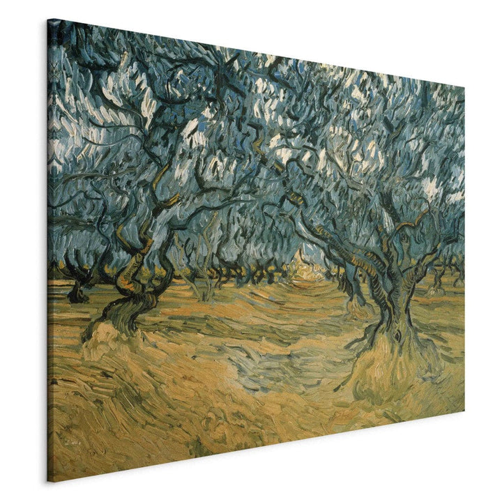 Gleznas reprodukcija /Vinsents van Gogs/ - Olīvkoki G ART