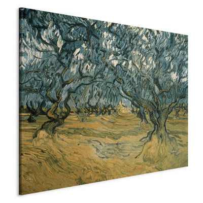 Reproduction of painting (Vincent van Gogh) - olive trees g Art