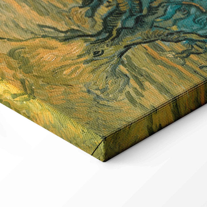 Gleznas reprodukcija /Vinsents van Gogs/ - Olīvkoki G ART