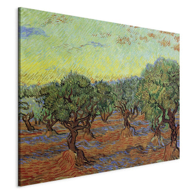 Gleznas reprodukcija (Vinsents van Gogs) - Olīvu audzētava G ART