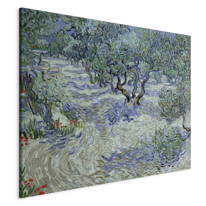 Gleznas reprodukcija /Vinsents van Gogs/ - Olīvu birzs G ART