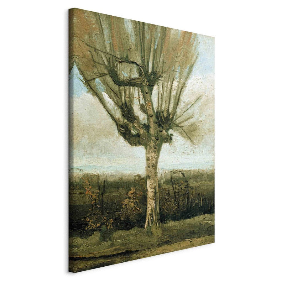 Gleznas reprodukcija /Vinsents van Gogs/ - Parasts baltais vītols G ART