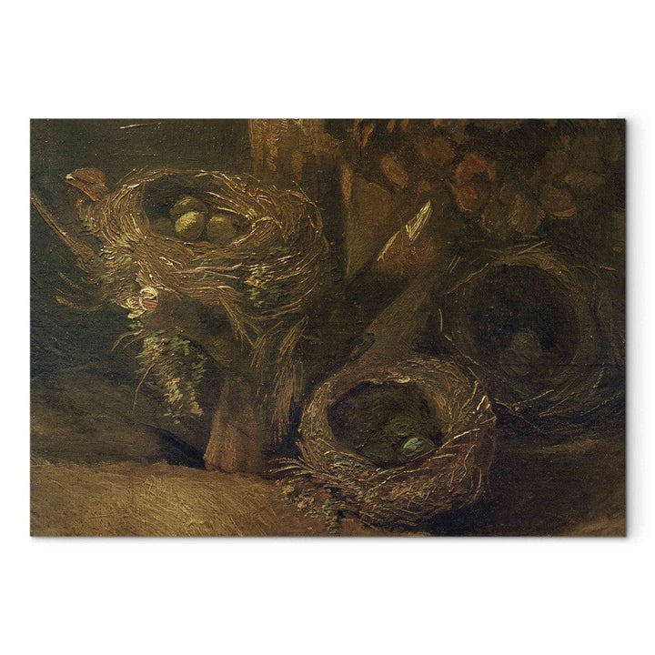 Gleznas reprodukcija /Vinsents van Gogs/ - Putnu ligzdas G ART