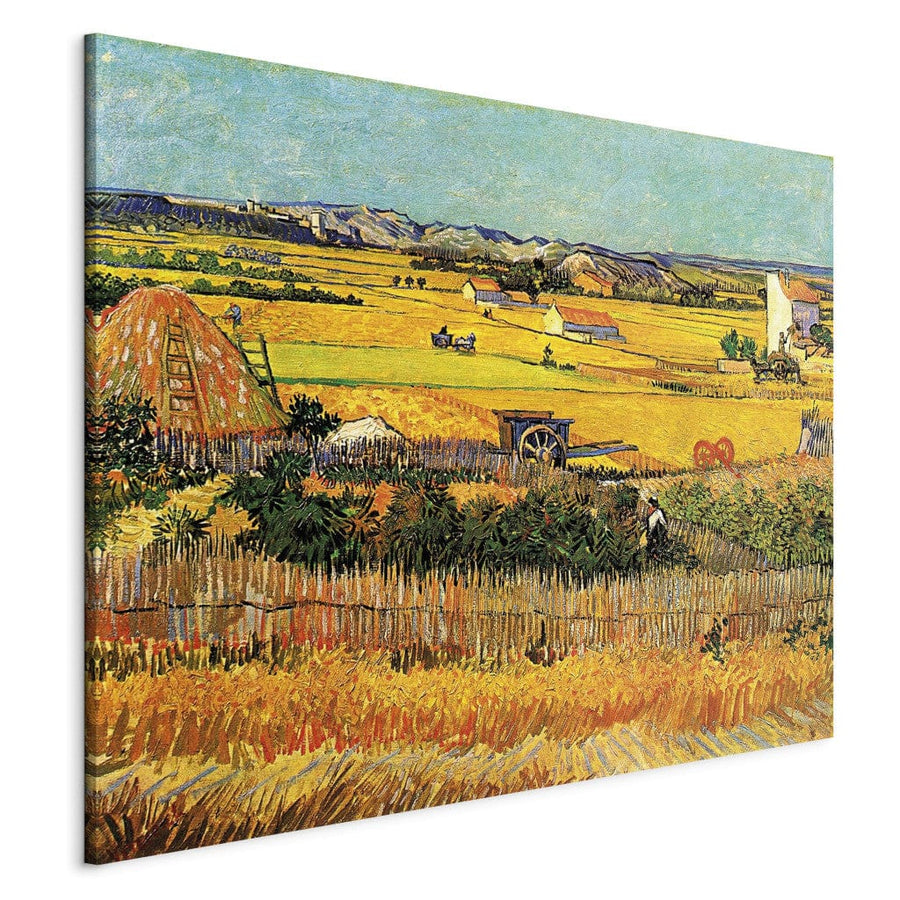 Gleznas reprodukcija /Vinsents van Gogs/ - Raža II G ART