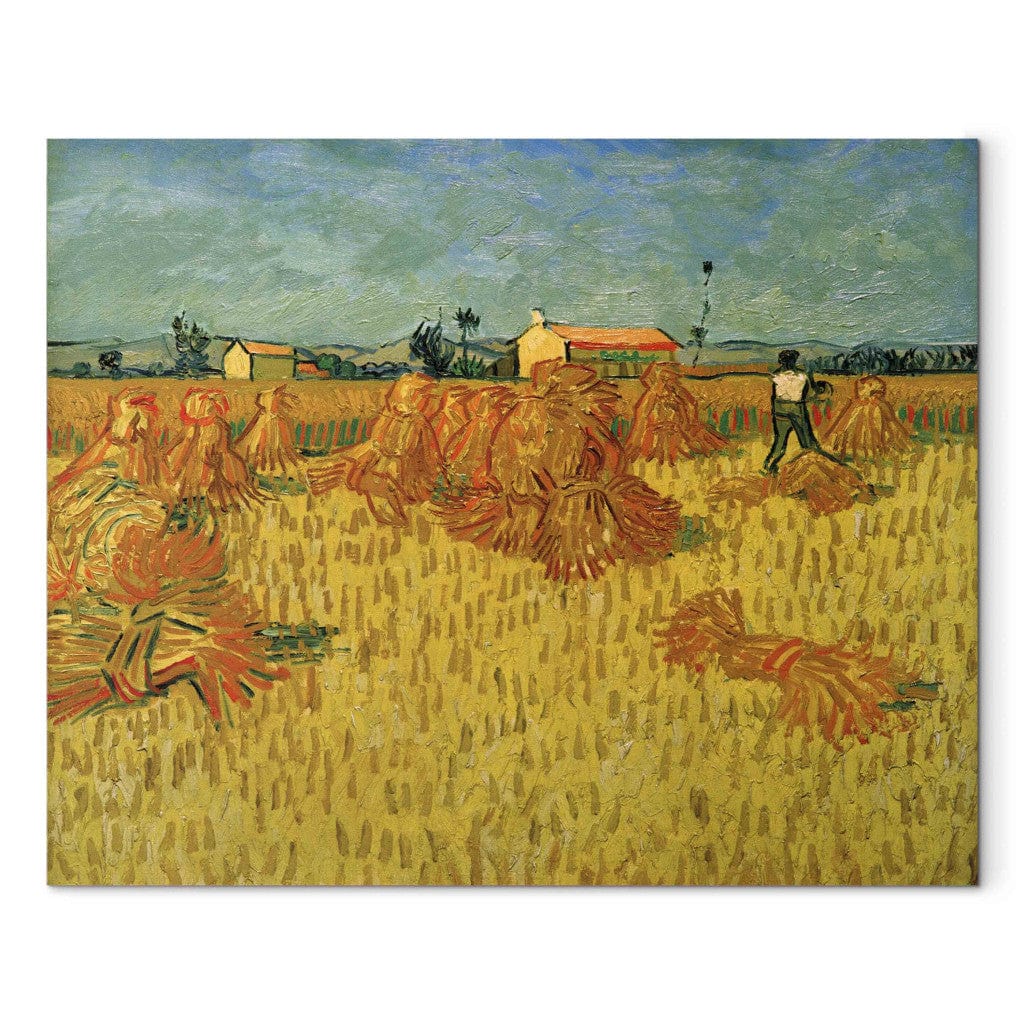 Gleznas reprodukcija /Vinsents van Gogs/ - Ražas novākšana Provansā G ART