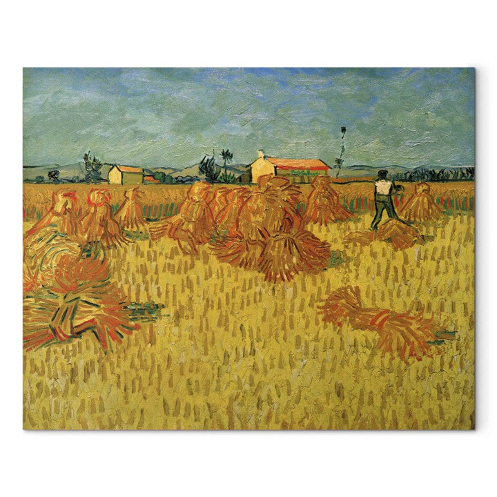 Gleznas reprodukcija /Vinsents van Gogs/ - Ražas novākšana Provansā G ART
