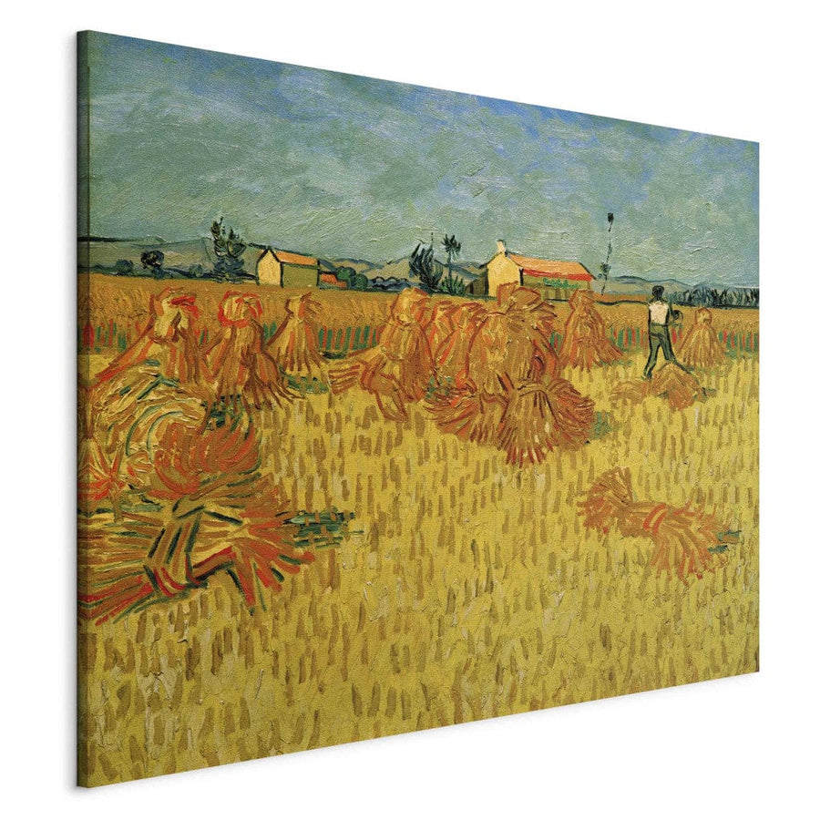 Gleznas reprodukcija /Vinsents van Gogs/ - Ražas novākšana Provansā G ART