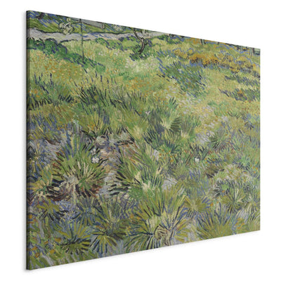 Reproduction of painting (Vincent van Gogh) - Sen Paul Hospital Garden II G Art