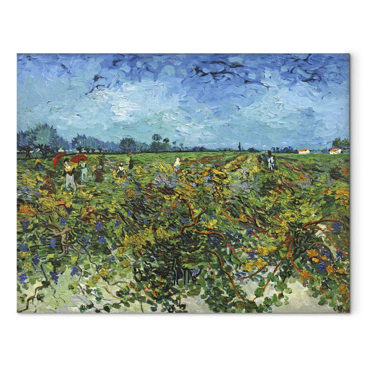Gleznas reprodukcija /Vinsents van Gogs/ - Zaļais vīna dārzs G ART