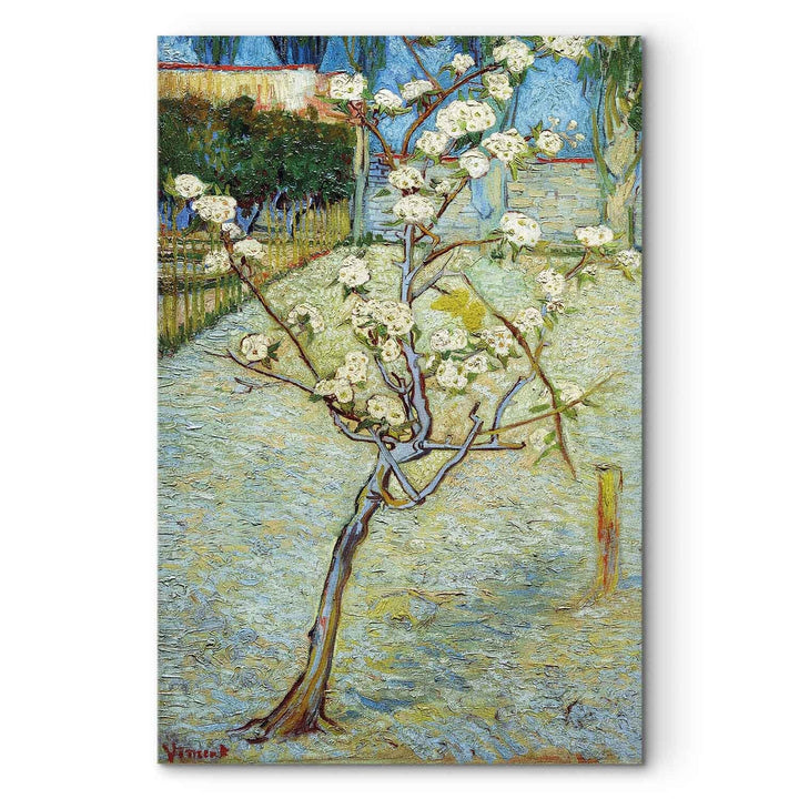 Gleznas reprodukcija /Vinsents van Gogs/ - Ziedošs bumbieru koks G ART