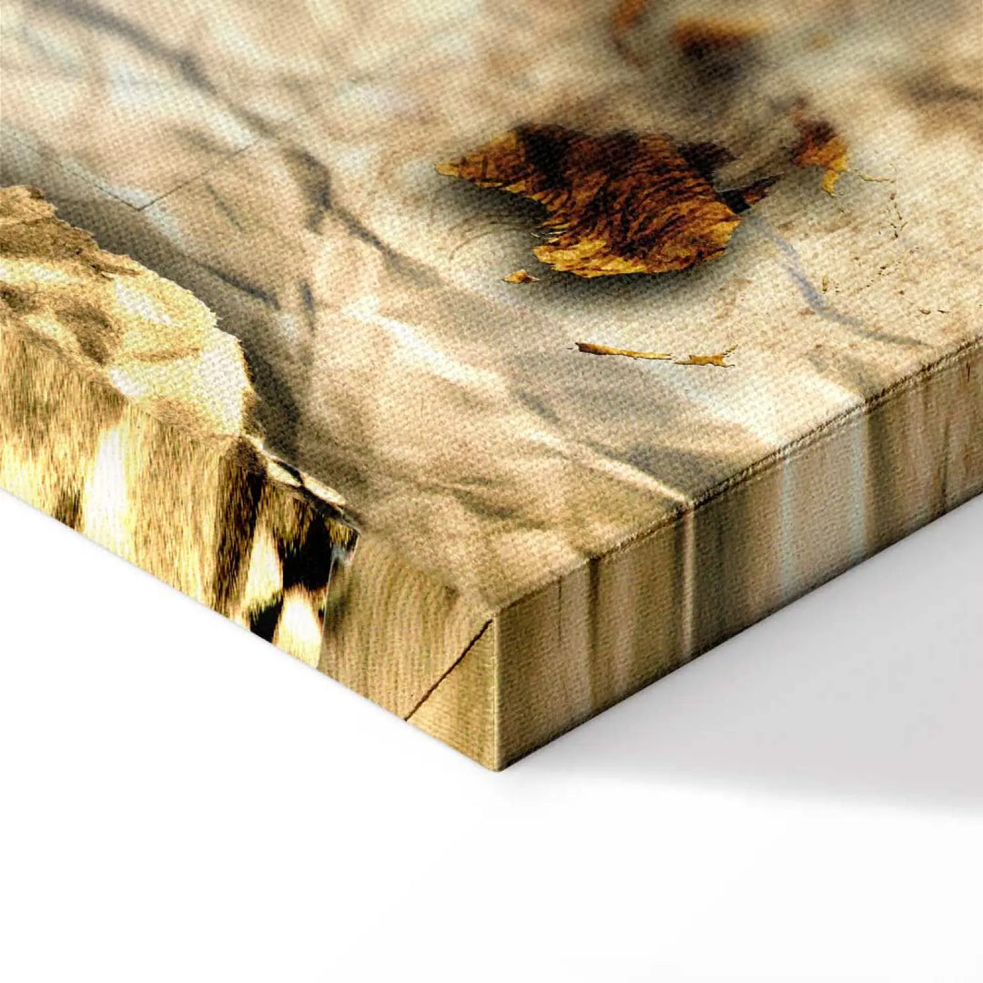 Canva - World Map in Leonardo da Vinci style, (X1), 92621