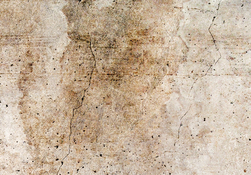Seinapildid - Abstraktne maal pehme pruunides toonides, 151427 G-ART