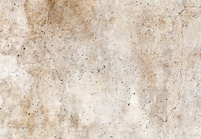 Канва - Абстрактная живопись в мягких коричневых тонах, 151773 G-ART