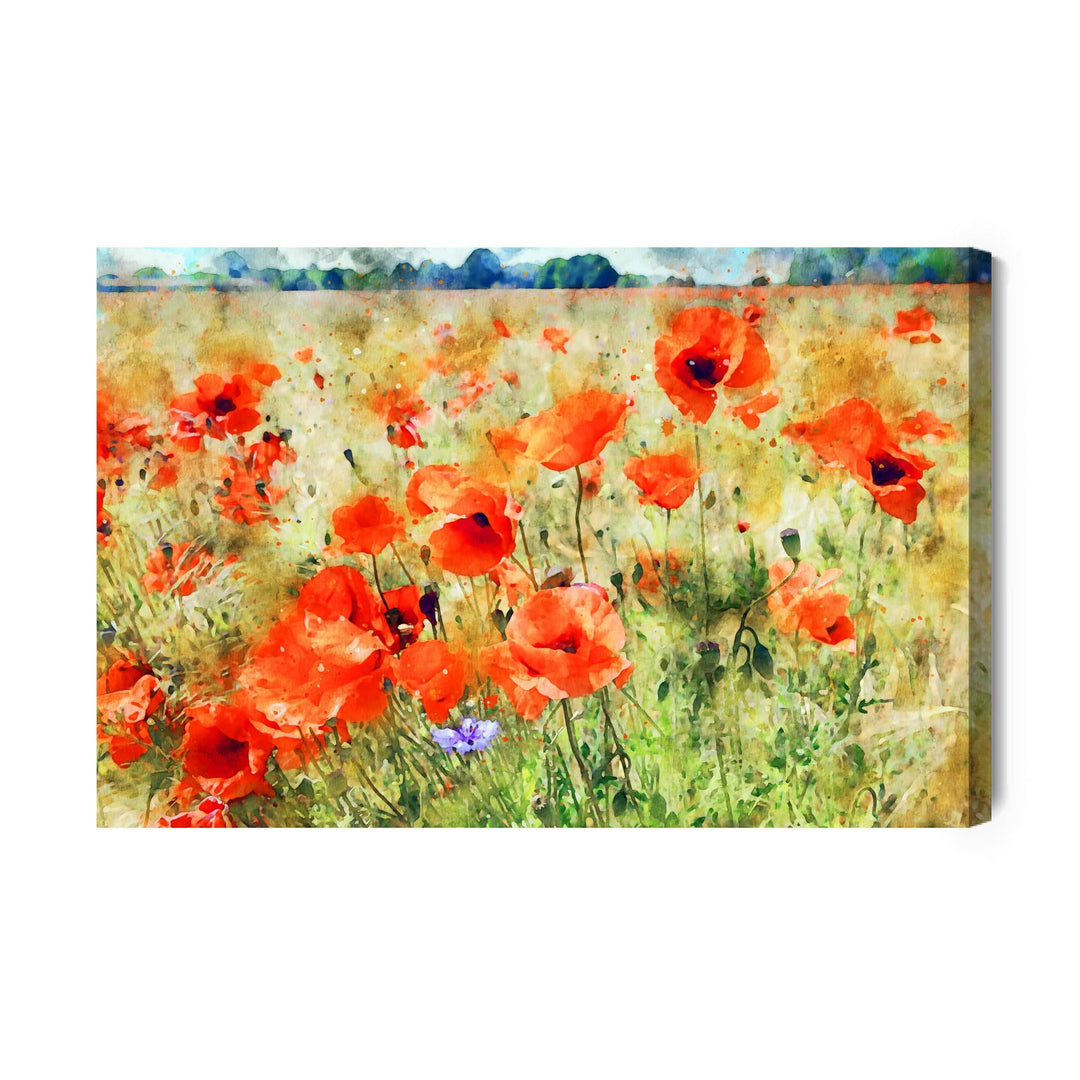 Kanva - Akrila magones pļavā, N-1522 X-ART