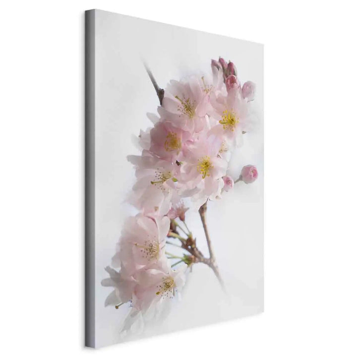 Glezna - ar ābeles ziediem - Pavasaris Japānā, rozā uz balta fona ART XL