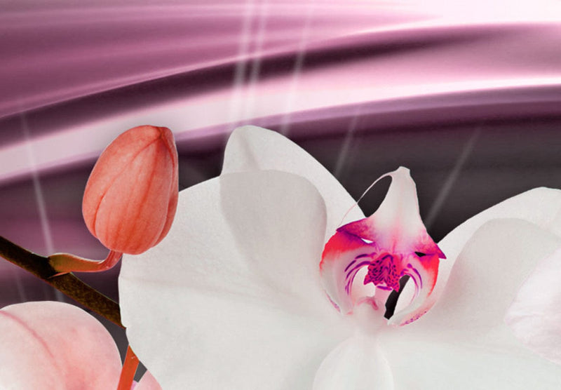 Paveikslai ant drobės su baltomis orchidėjomis ir blizgančiais deimantais, (x5), 62436 G-ART.