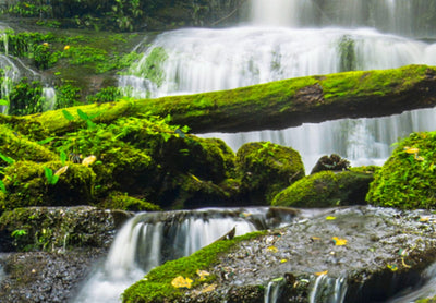 Canva with Buddha at the waterfall - Harmony Sanctuary, (x5), 90013 G-ART.