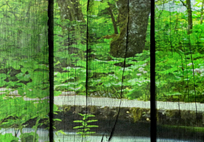 Canvas-taulut luontopolulla - Salaisuuksien metsä, (x5), 92078 G-ART.