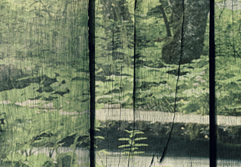 Canvas-taulut luontopolulla - Mystery River, (x5), 92070 G-ART.