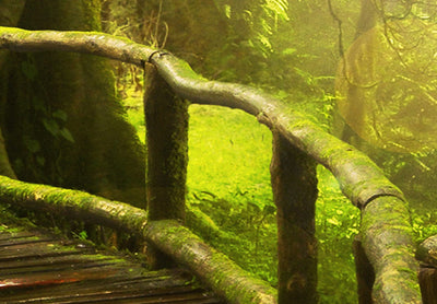 Canva with nature in green - Magic Jungle, (x5), 92632 G-ART.