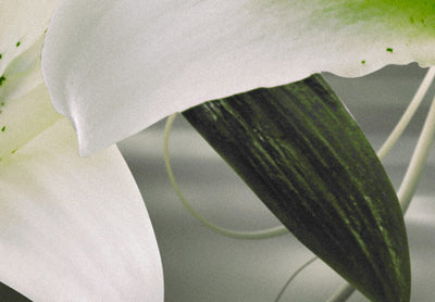 Glezna ar elegantām baltām lilijām - Jutekliskā smalkjūtība, 93794, (x5) Tapetenshop.lv.