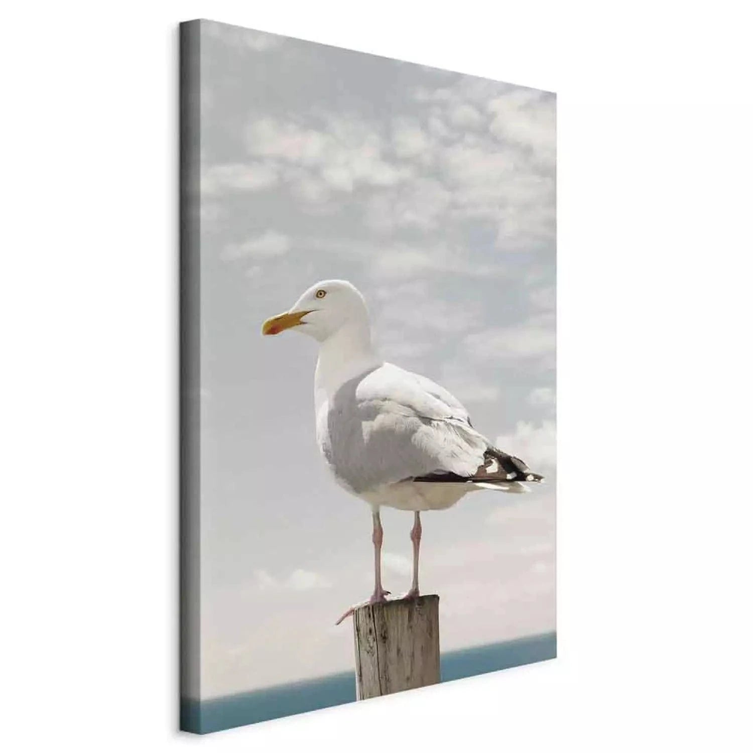 Kanva ar jūras tematiku- Kaija, 117003, zilos toņos ART XL