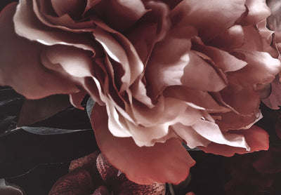 Paveikslai ant drobės su spalvingomis gėlėmis - Svajonių sodas, (x 5), 150281 G-ART.
