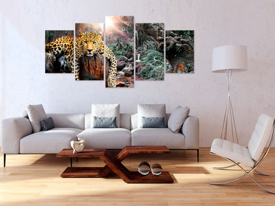 Canva with leopard - Leopard relaxation, 92277, (x5) G-ART.