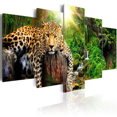 Glezna ar leopardu mežā - Relaksācija, 92275, (x5) Tapetenshop.lv.