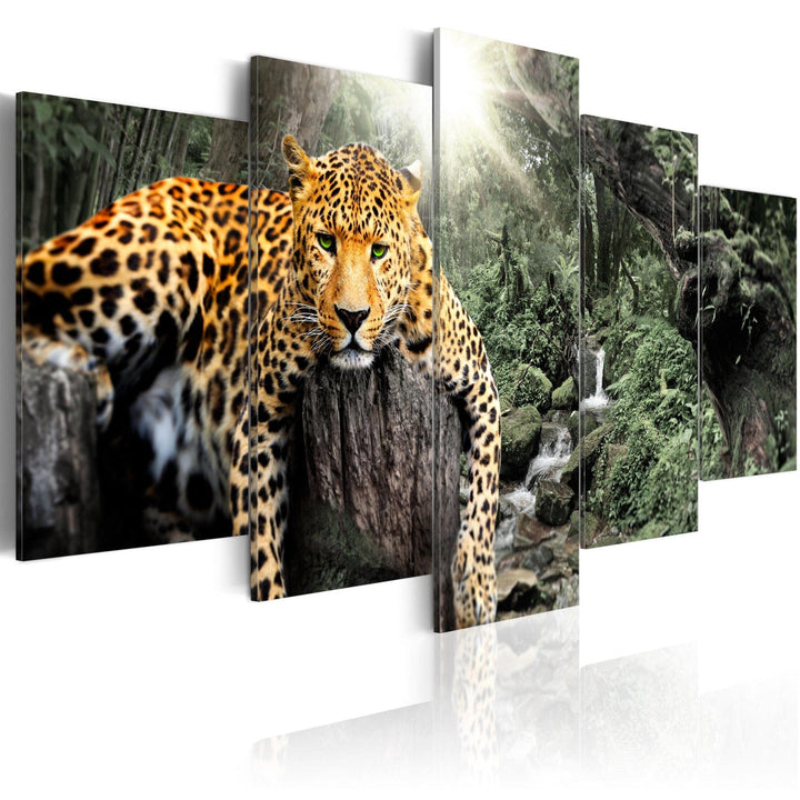 Glezna ar leopardu - Pēcpusdienas atpūta, 92276, (x5) G-ART