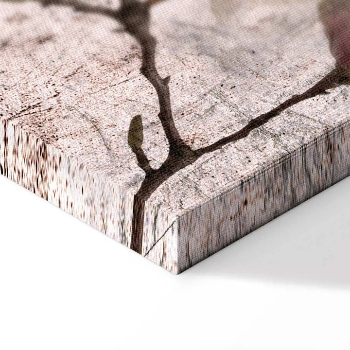 Glena ar magnoliju rozā toņos - Liriskās magnolijas (3 daļās) ART XL