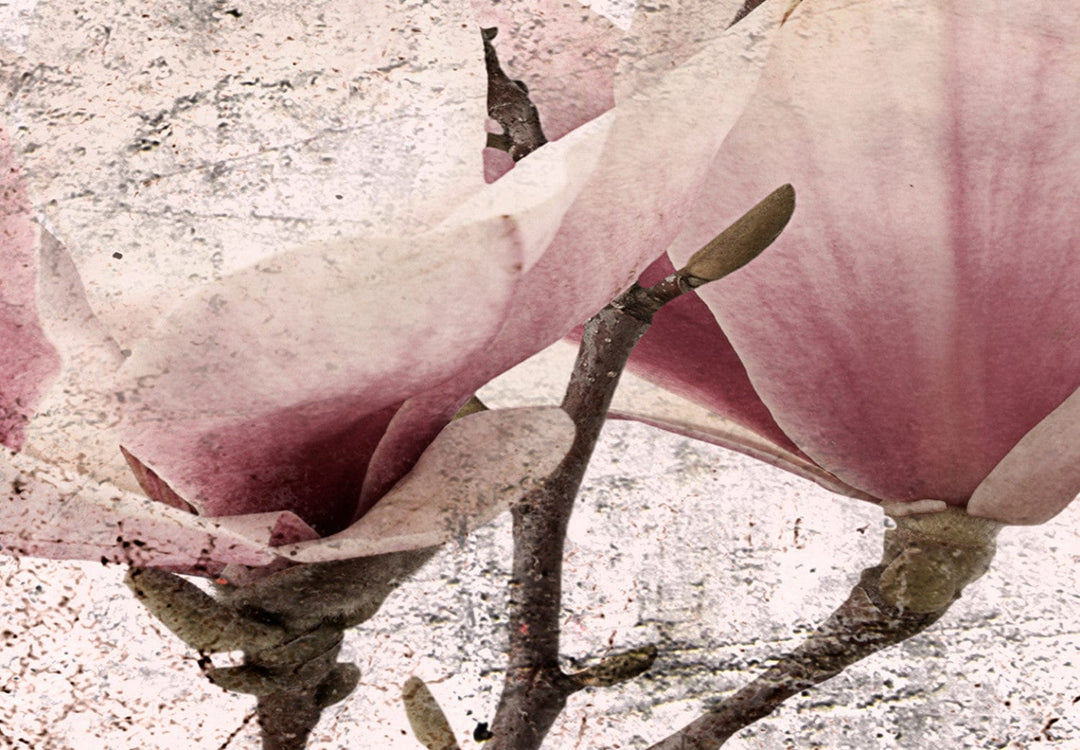 Glena ar magnoliju rozā toņos - Liriskās magnolijas (x 3), 122781 G-ART