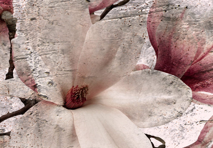 Glena ar magnoliju rozā toņos - Liriskās magnolijas (x 3), 122781 G-ART