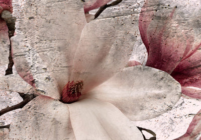 Glezna ar magnoliju rozā toņos - Liriskās magnolijas (x 3), 122781 Tapetenshop.lv.