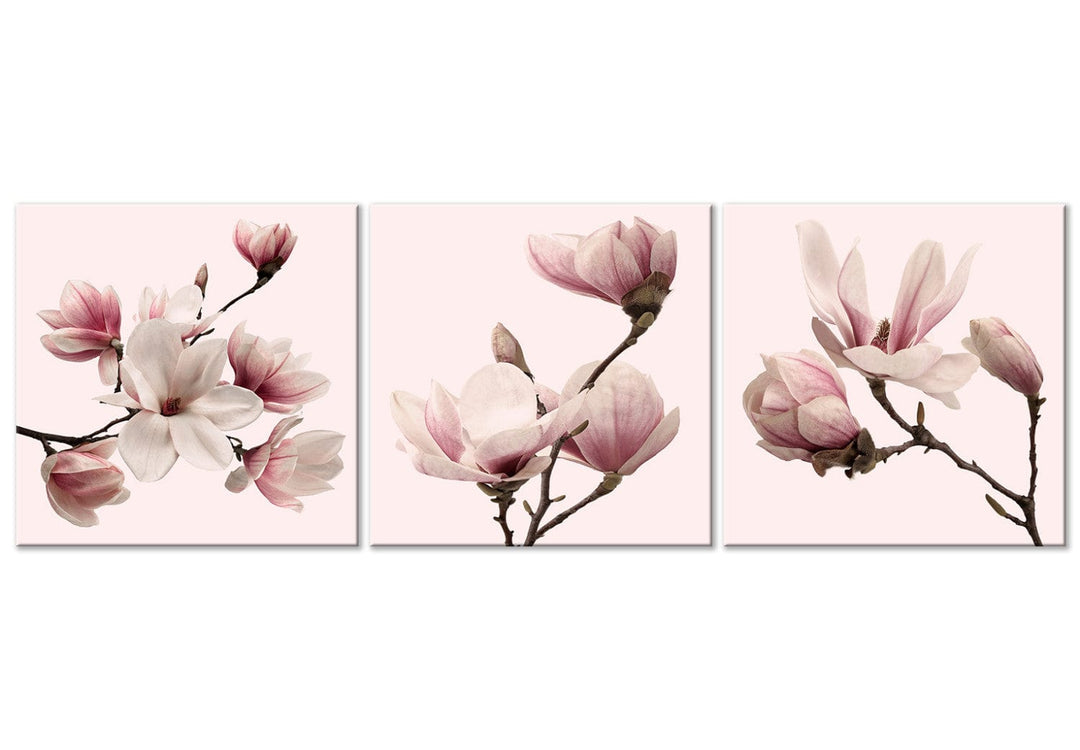 Glezna ar magnoliju uz rozā fona, (x 3), 122780 G-ART