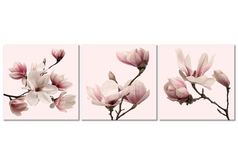 Kanva ar magnoliju uz rozā fona, (x 3), 122780 G-ART.