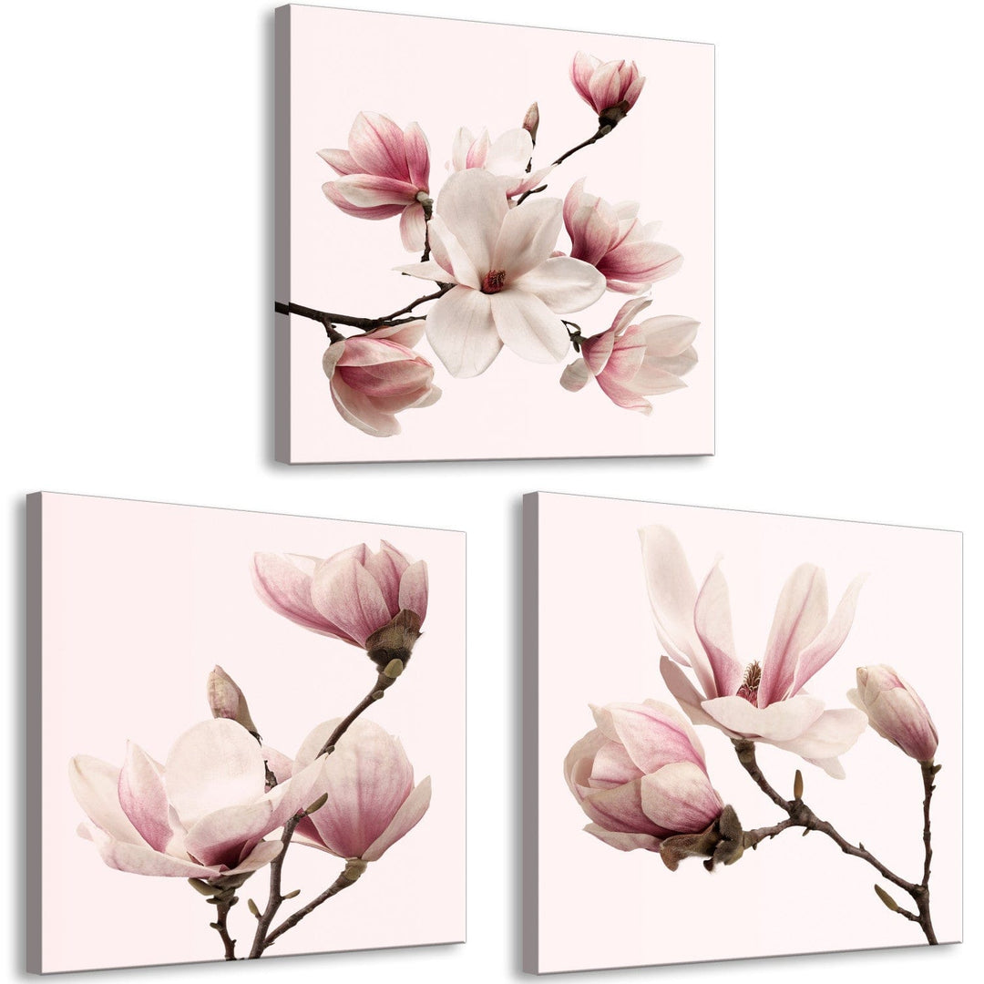 Glezna ar magnoliju uz rozā fona, (x 3), 122780 G-ART