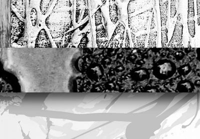 Kanva ar melnbaltu abstrakciju, 56174 G-ART.