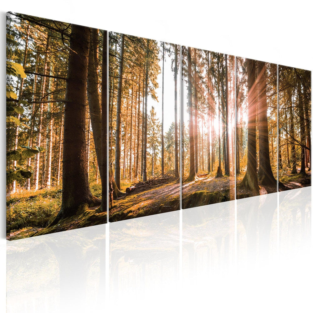 Glezna ar saulainu mežu - Dabas skaistums (x5), 98558 G-ART