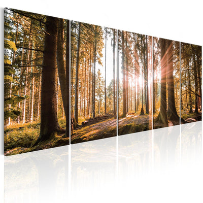 Canva with forest - Natural beauty (x5), 98558 G-ART.