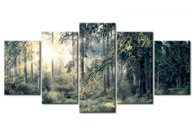 Canvas-taulut metsän kanssa - Keijumaisema, (x5), 91574 G-ART.