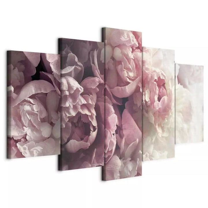 Glezna ar peonijām - Retro peonijas, (x 5), romantiski rozā krāsā ART XL