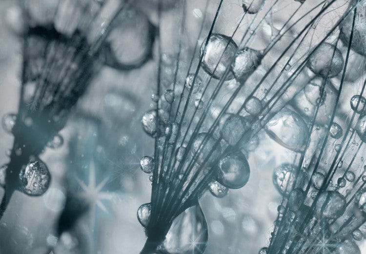 Canva with dandelions in silver and blue - Sparkling dandelions (x 5), 107626 G-ART.