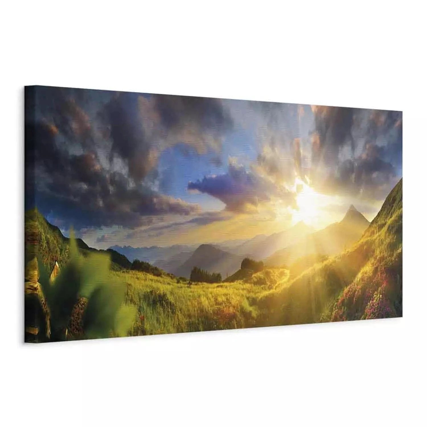 Paintings