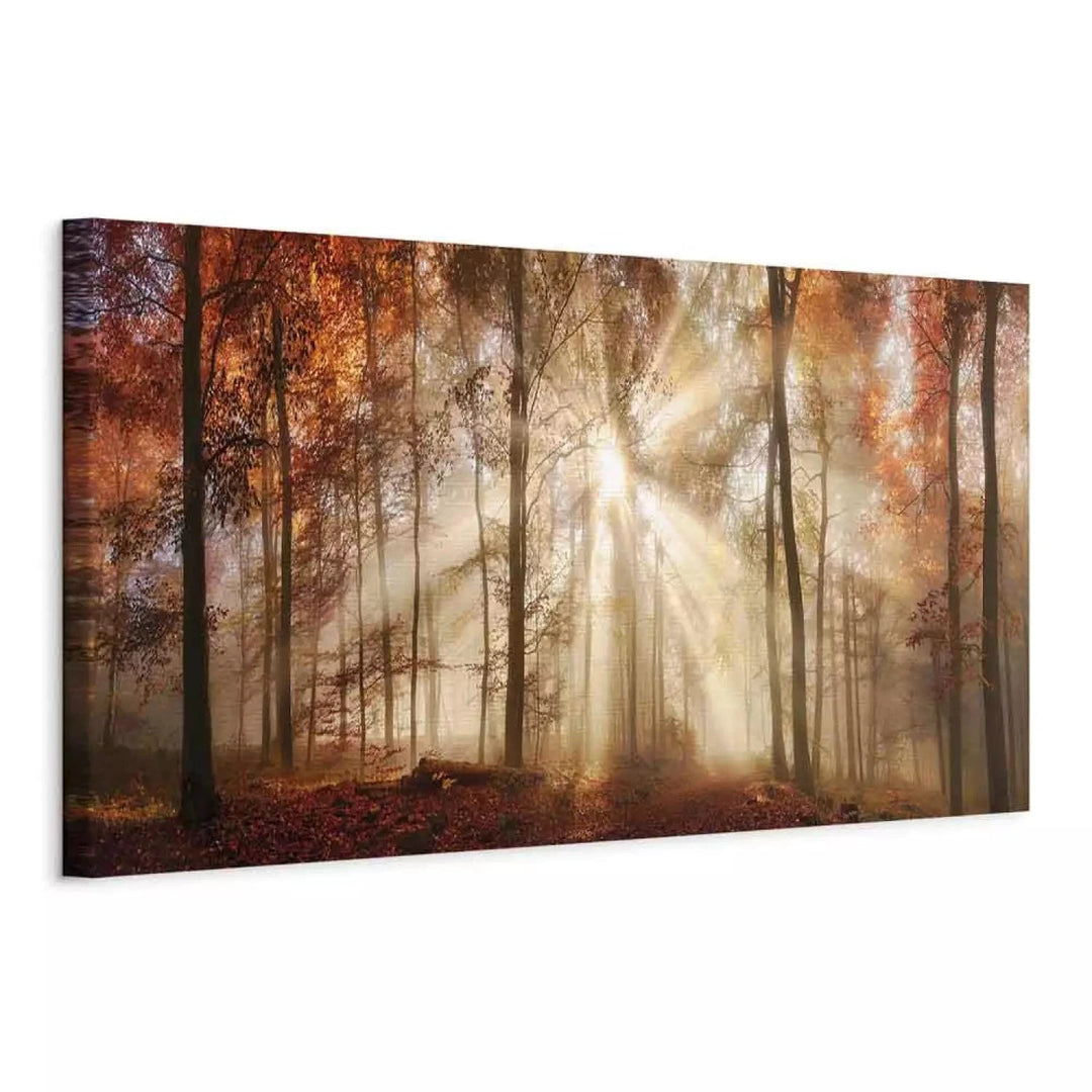 Kanva -ar rudens mežu - Rudens rītausma - oranzā toņos G-ART