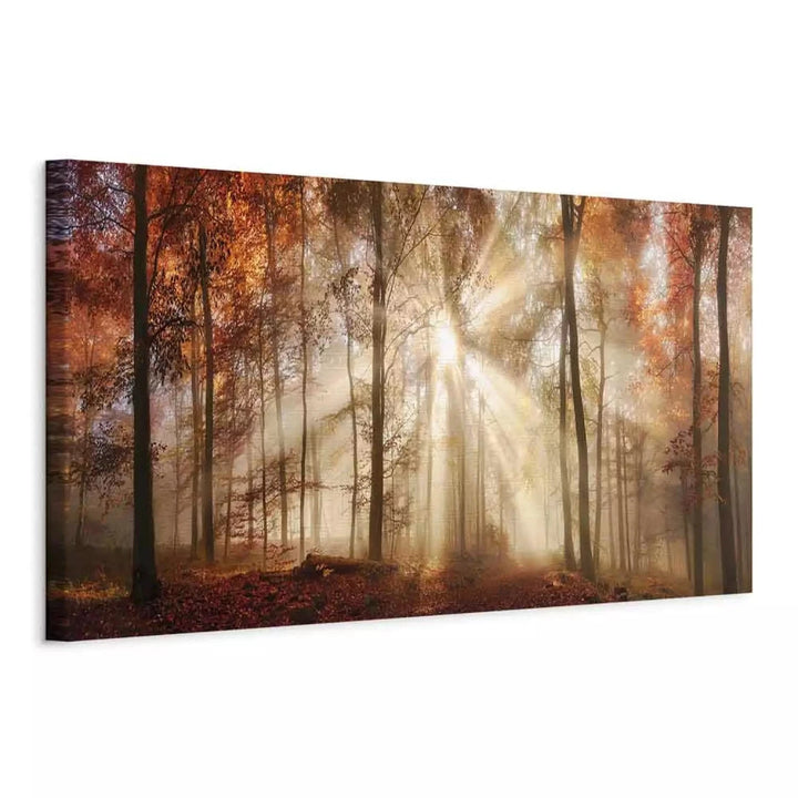 Kanva -ar rudens mežu - Rudens rītausma - oranzā toņos G-ART