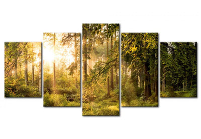 Paveikslai ant drobės su saulėtu mišku - Miško magija, 91573, (x5) G-ART.