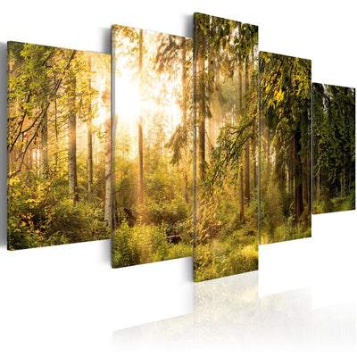 Glezna ar saulainu mežu - Meža burvība, 91573, (x5) Tapetenshop.lv.