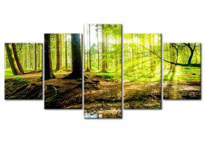 Paveikslai ant drobės su saulėtu mišku - Miško poezija, 93945, (x5) G-ART.