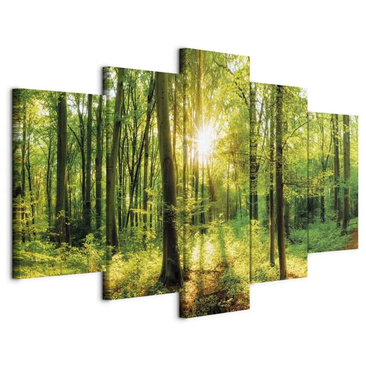Glezna ar saulainu mežu zaļā krāsā - Meža pasaka, (x5), 94220 ART XL